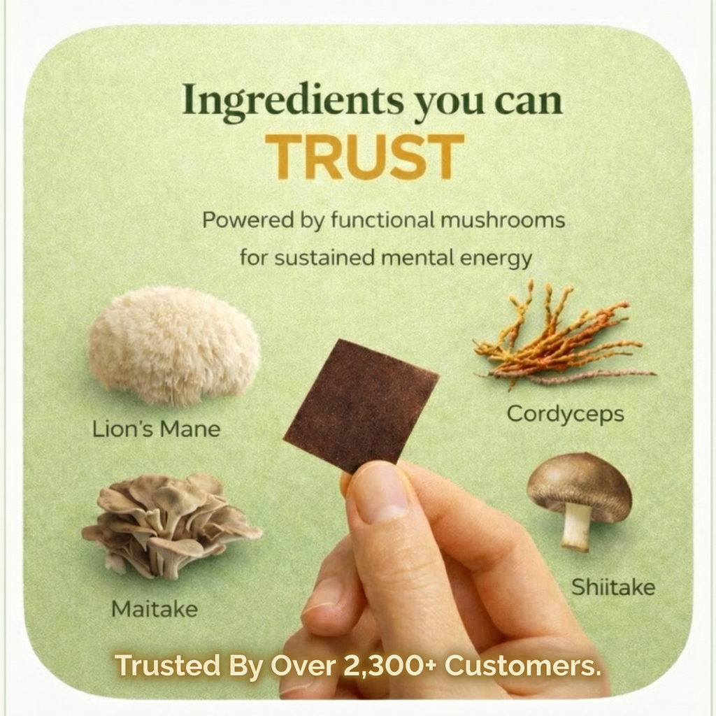 The Drive - Chocolate Flavoured Energy Strips